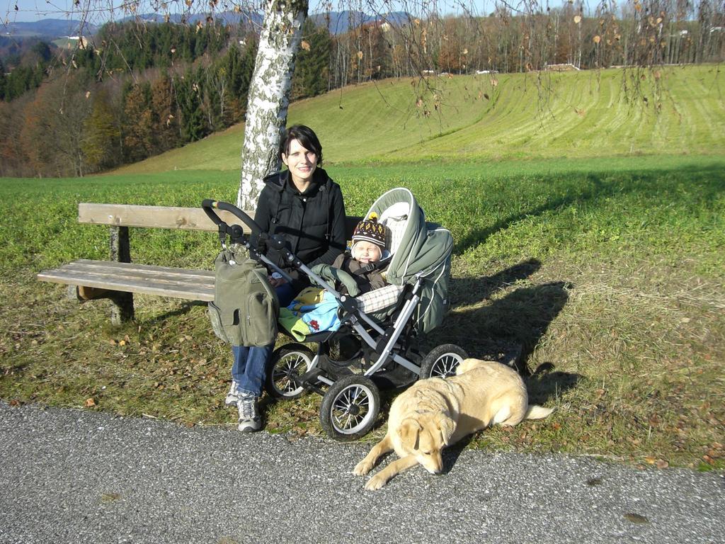 Kirchenwirt Inn Kreuzen  Esterno foto